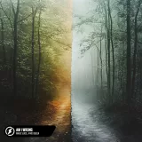 caratula de Am I Wrong