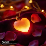 caratula de Favorite