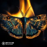 caratula de Moth To A Flame