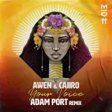 caratula de Your Voice (Adam Port Remix)