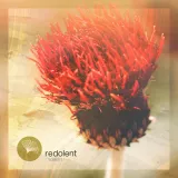 caratula de Save a Prayer (DJ CHUS Rework)