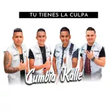 caratula de Tu Tienes La Culpa