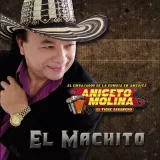 caratula de Los Amores De Petrona