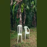 caratula de BAILE INoLVIDABLE