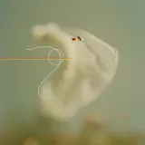 caratula de Gravedad