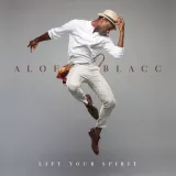 caratula de Wake Me Up (Acoustic)