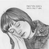 caratula de Sweet Child o' Mine