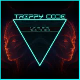 caratula de Follow the Sound