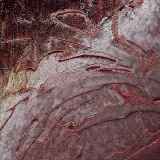 caratula de LA NOCHE