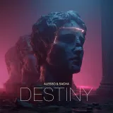 caratula de Destiny